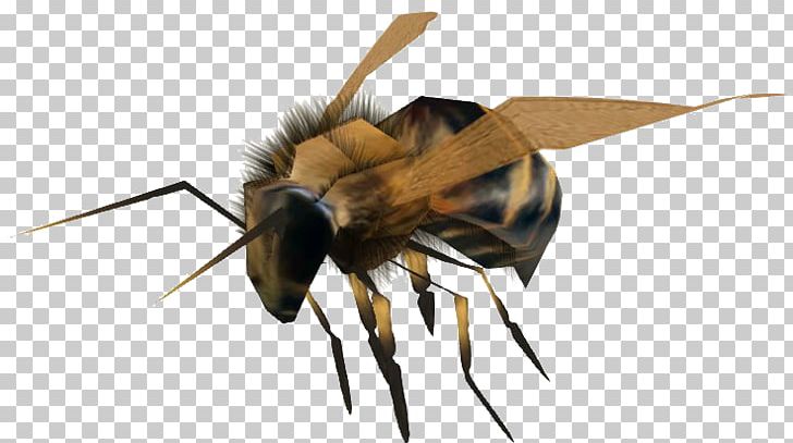 Honey Bee Hornet Bumblebee Yavapai College PNG, Clipart, Arthropod, Bee, Bethesda Softworks, Bumblebee, Honey Free PNG Download