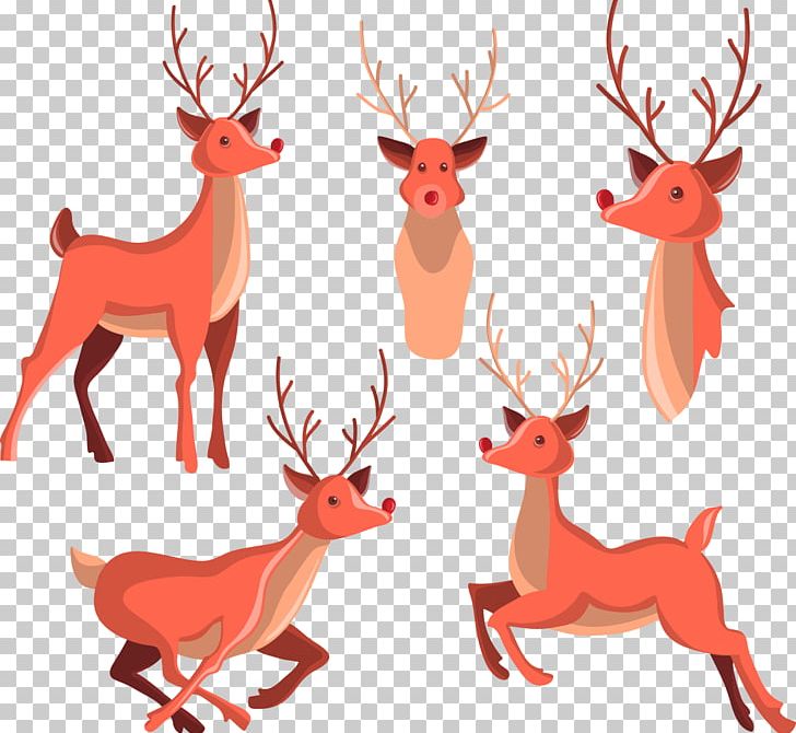 Reindeer Drawing Illustration PNG, Clipart, Animal, Animals, Antler, Christmas, Christmas Deer Free PNG Download