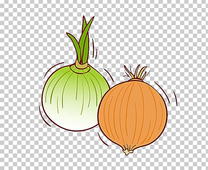 Calabaza Pumpkin Onion Vegetable Illustration PNG, Clipart, Calabaza, Cartoon, Cartoon Garlic, Chili Garlic, Commodity Free PNG Download