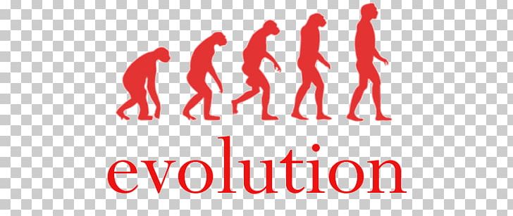 Human Evolution Homo Sapiens The Origin Of Brands Ape PNG, Clipart, Ape, Area, Brand, Bumper Sticker, Charles Darwin Free PNG Download