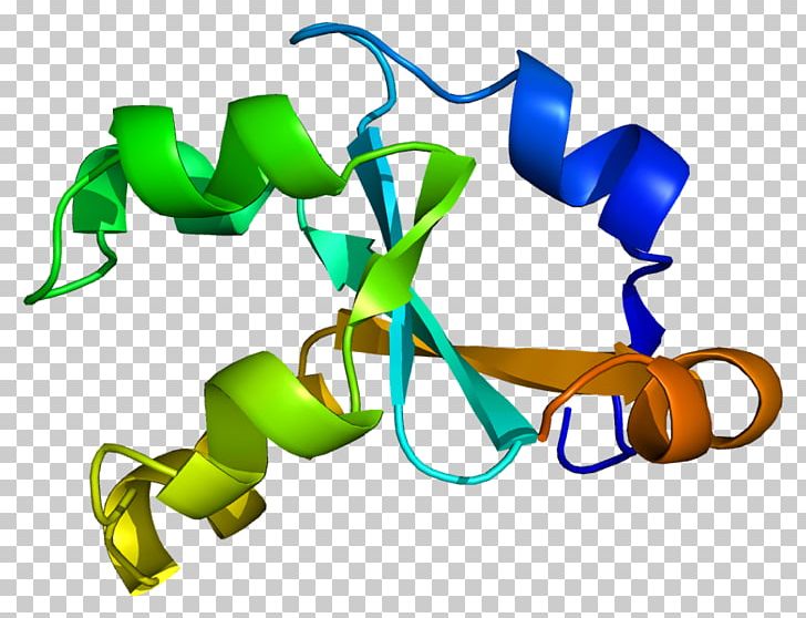 Cytochrome B5 Reductase Cytochrome B5 PNG, Clipart, 2 I, Cytochrome, Cytochrome B, Cytochrome C, Cytochrome P450 Free PNG Download