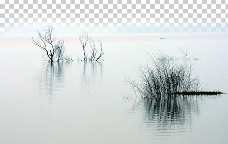 Ink Wash Painting Lake PNG, Clipart, Christmas Decoration, Computer Wallpaper, Decor, Decoration, Decorations Free PNG Download