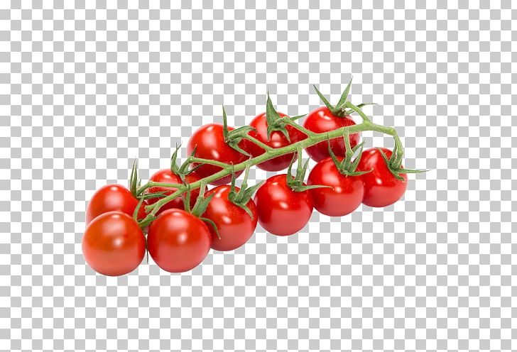 Plum Tomato Vegetable Campari Tomato Cherry Tomato Bush Tomato PNG, Clipart, Bush Tomato, Campari Tomato, Cauliflower, Cherry, Cherry Tomato Free PNG Download