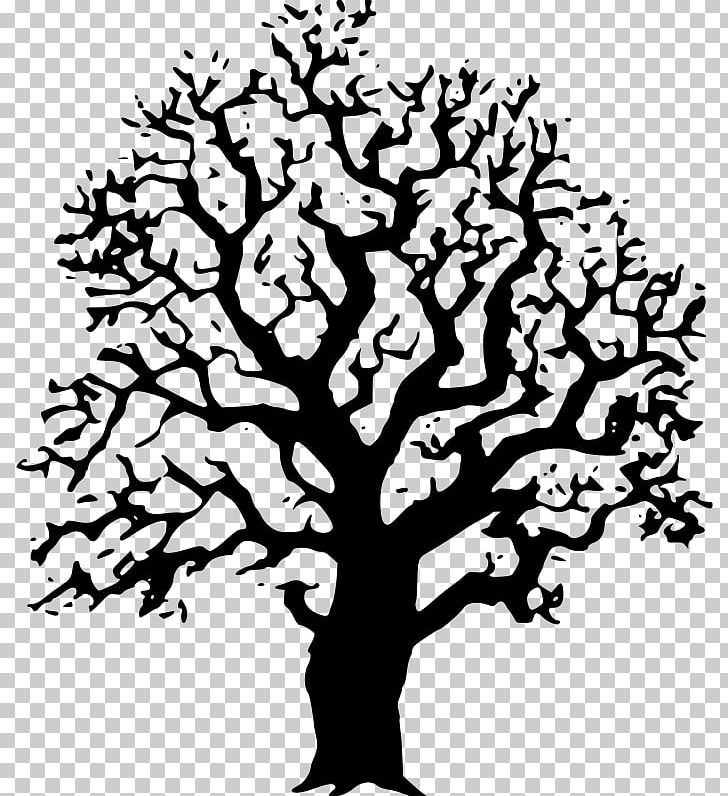 Tree Black And White Oak Drawing PNG, Clipart, Art, Black And White, Black Trees Cliparts, Branch, Color Free PNG Download