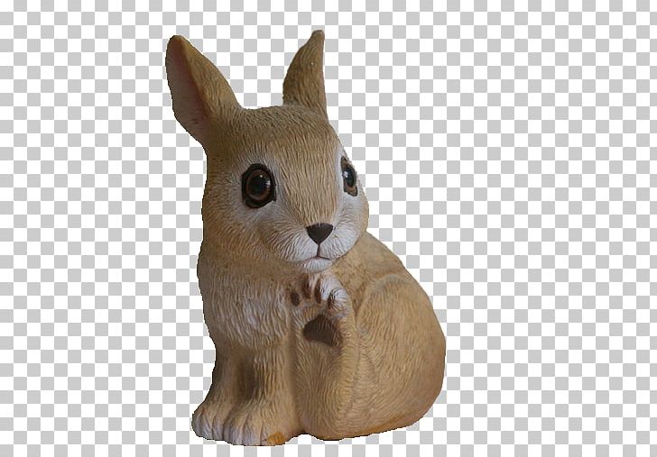 Whiskers Domestic Rabbit Hare Cat PNG, Clipart, Animals, Cat, Cat Like Mammal, Domestic Rabbit, Fauna Free PNG Download