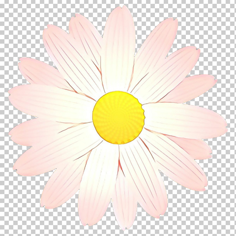 Daisy PNG, Clipart, Camomile, Chamomile, Daisy, Flower, Gerbera Free PNG Download