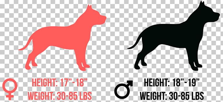 Dog Breed Cat Puppy American Pit Bull Terrier PNG, Clipart, American, American Pit Bull Terrier, Bull Terrier, Carnivoran, Cat Like Mammal Free PNG Download