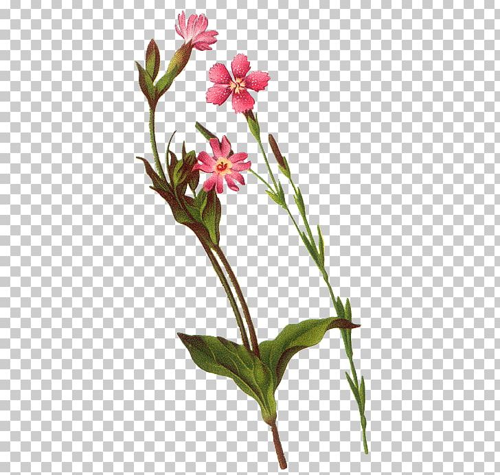 Flower Bouquet Floral Design PNG, Clipart, Abstract, Blogroll, Bouquet, Branch, Encapsulated Postscript Free PNG Download