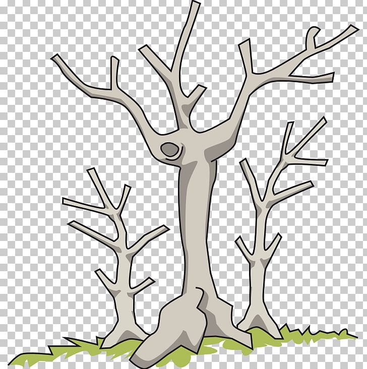 Tree Branch PNG, Clipart, Antler, Artwork, Branch, Computer Icons, Download Free PNG Download