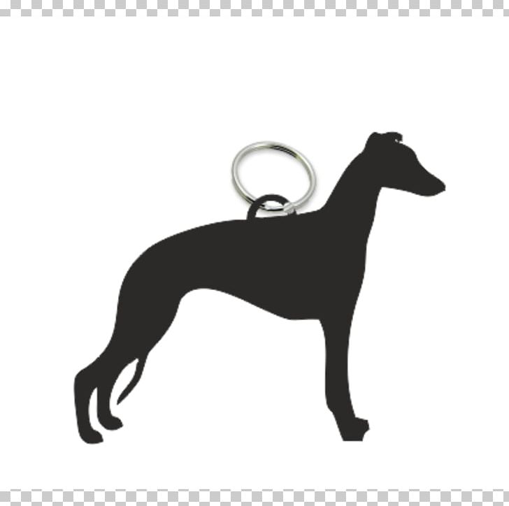 Whippet Italian Greyhound Shih Tzu Silhouette PNG, Clipart, Animals, Animal Sports, Best In Show, Carnivoran, Dog Free PNG Download