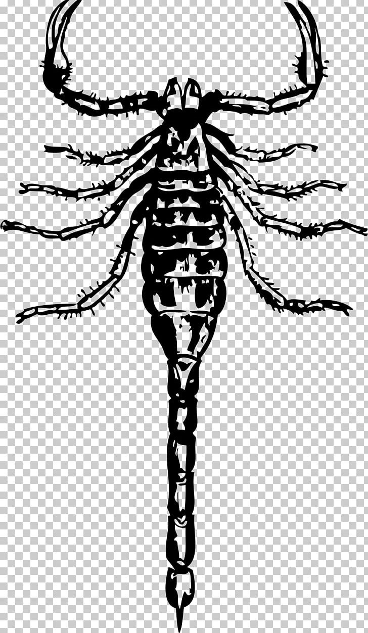 Drawing PNG, Clipart, Akrep, Art, Arthropod, Black And White, Blog Free PNG Download