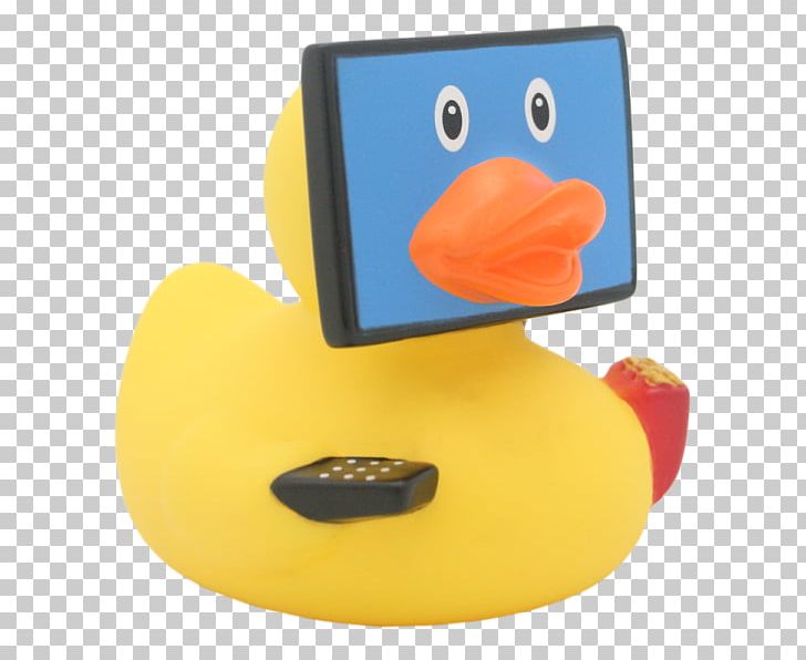 Duck Product Design Beak PNG, Clipart, Animals, Beak, Bird, Duck, Ducks Geese And Swans Free PNG Download