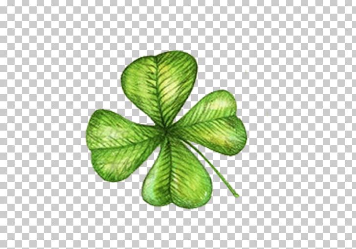 Four-leaf Clover Shamrock PNG, Clipart, Clover, Color, Flowers, Fourleaf Clover, Grass Free PNG Download