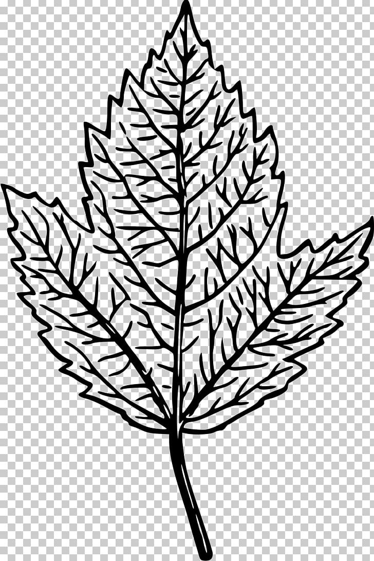 Leaf Branch Monochrome PNG, Clipart, Artwork, Black And White, Branch, Computer Graphics, Computer Icons Free PNG Download