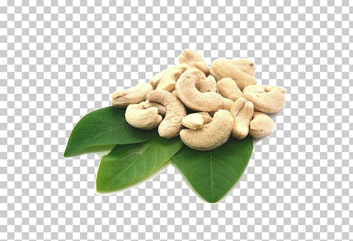 Tree Nut Allergy Cashew Organic Food Nut Butters PNG, Clipart, Anacardium, Cashew, Fat, Food, Grape Free PNG Download