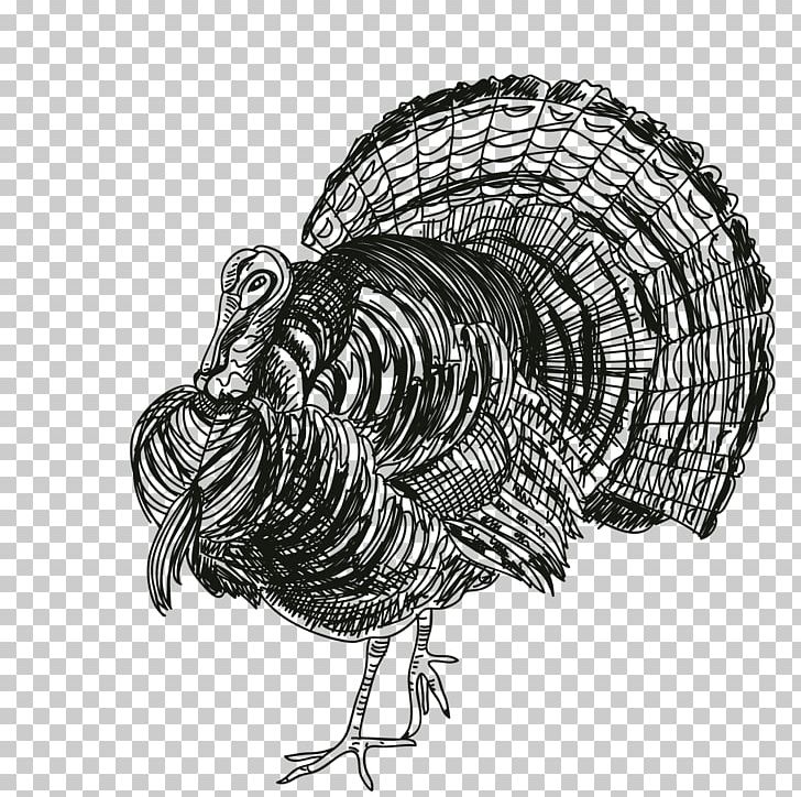 Turkey Thanksgiving Black And White Rooster PNG, Clipart, Beak, Bird, Chicken, Drawing, Flightless Bird Free PNG Download