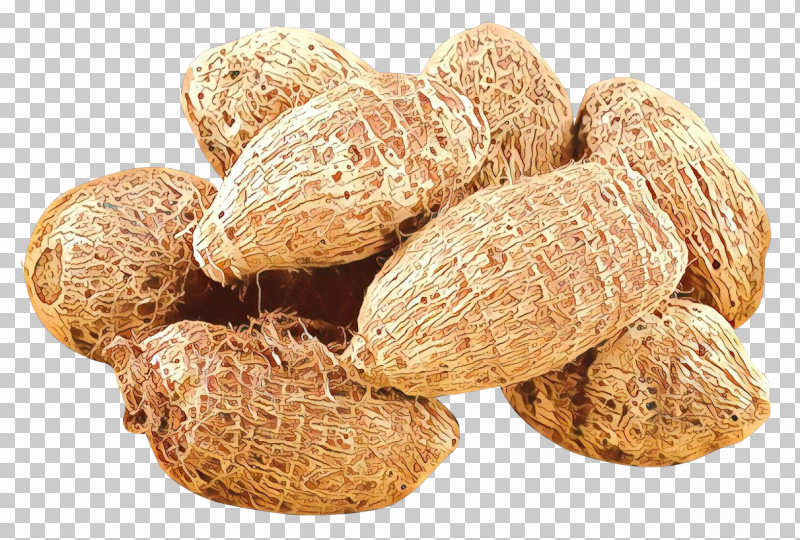 Nut Peanut Plant Food Zedoary PNG, Clipart, Almond, Food, Nut, Nuts Seeds, Peanut Free PNG Download