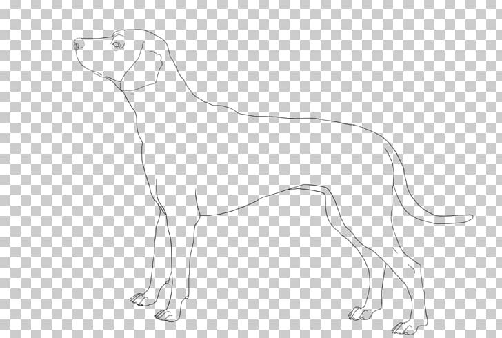 Dalmatian Dog Italian Greyhound Whippet Line Art Drawing PNG, Clipart, Animal, Art, Artwork, Black And White, Canidae Free PNG Download