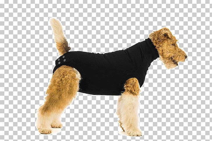 Dog Booties Amazon.com Surgery Suit PNG, Clipart, Animals, Carnivoran, Companion Dog, Disease, Dog Booties Free PNG Download