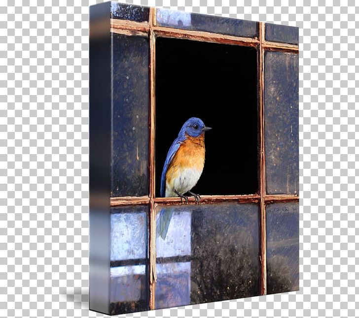 Eastern Bluebird Mountain Bluebird Bluebird Of Happiness Window PNG, Clipart, Animal, Art, Beak, Bird, Bird Nest Free PNG Download