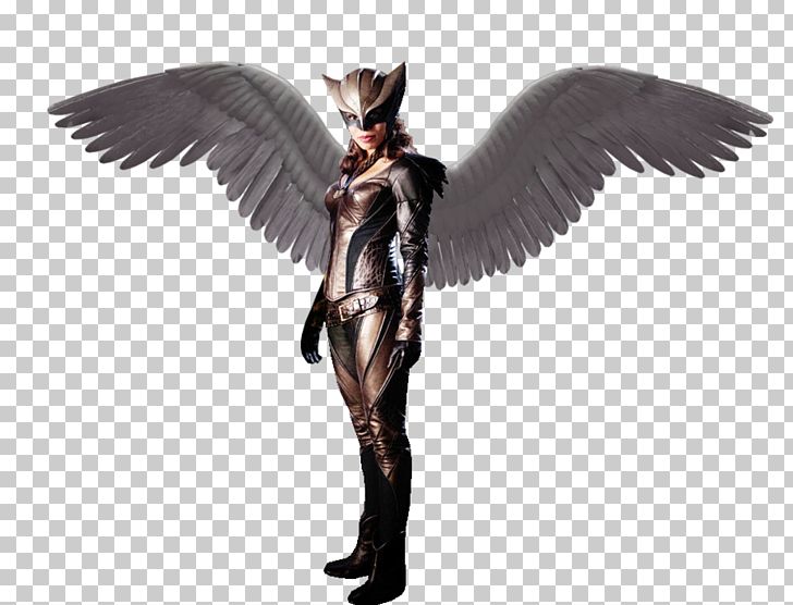 Hawkgirl Display Resolution PNG, Clipart, Angel, Art, Demon, Deviantart, Drawing Free PNG Download