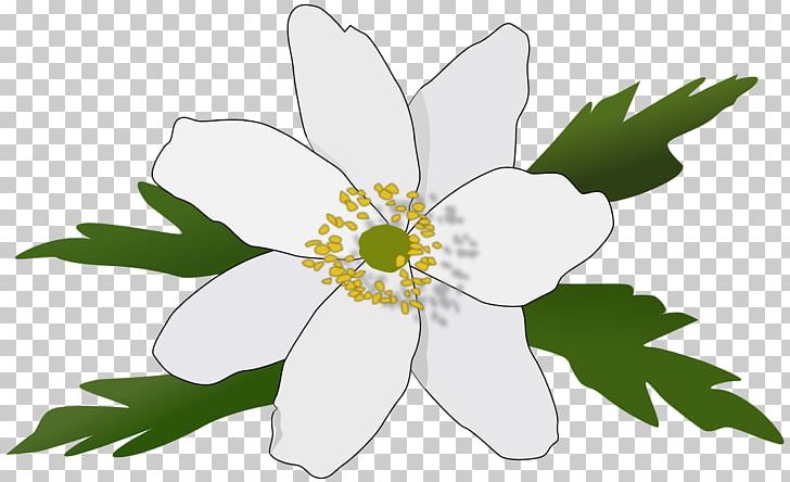 Raseborg Anemone Nemorosa Computer Icons PNG, Clipart, Anemone, Anemone Nemorosa, Artwork, Button, Computer Icons Free PNG Download