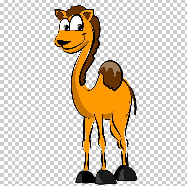 Camel Cartoon PNG, Clipart, Animals, Balloon Cartoon, Boy Cartoon, Camel Vector, Cartoon Free PNG Download
