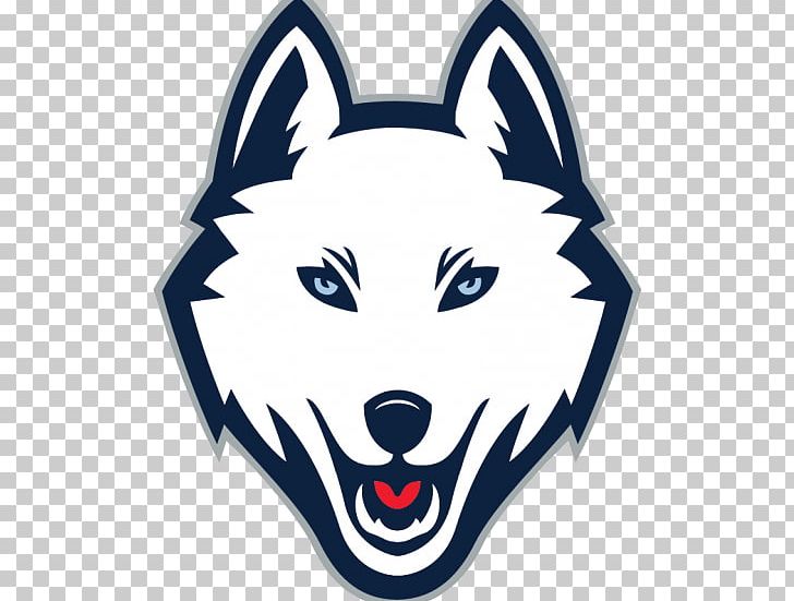 University Of Connecticut Connecticut Huskies Women's Basketball Connecticut Huskies Men's Basketball Connecticut Huskies Baseball Connecticut Huskies Men's Ice Hockey PNG, Clipart,  Free PNG Download