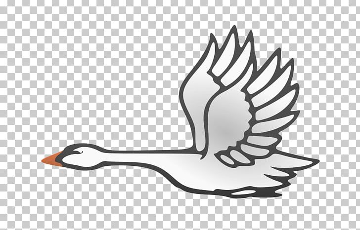 Bird Cygnini Flight Duck Goose PNG, Clipart, Anatidae, Animals, Beak, Bird, Black And White Free PNG Download