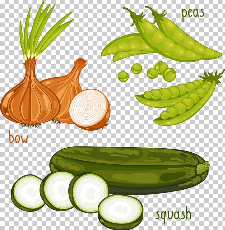 Vegetable Organic Food Pea PNG, Clipart, Bean, Cartoon Garlic, Chili Garlic, Cucumber, Diet Food Free PNG Download