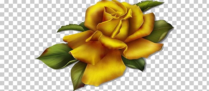 Flower Rose Floral Design PNG, Clipart, Clip Art, Cut Flowers, Embroidery, Floral Design, Floristry Free PNG Download