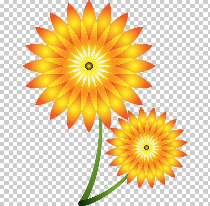 Graphics Stock Photography Illustration Stock.xchng Paper PNG, Clipart, Chrysanths, Common Sunflower, Cut Flowers, Dahlia, Daisy Family Free PNG Download