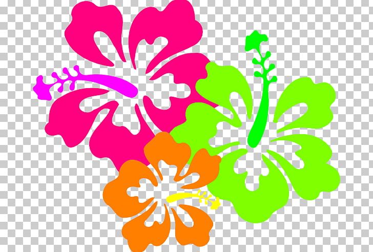 Hibiscus Schizopetalus Hawaiian Hibiscus Drawing PNG, Clipart, Artwork, Blog, Cut Flowers, Download, Drawing Free PNG Download