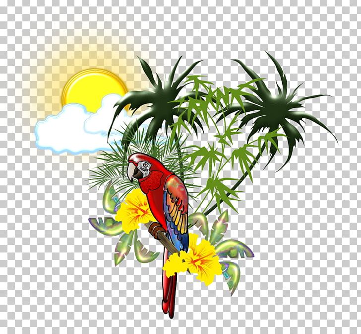 Scarlet Macaw Parrot Bird PNG, Clipart, Animals, Art, Beak, Bird, Deviantart Free PNG Download