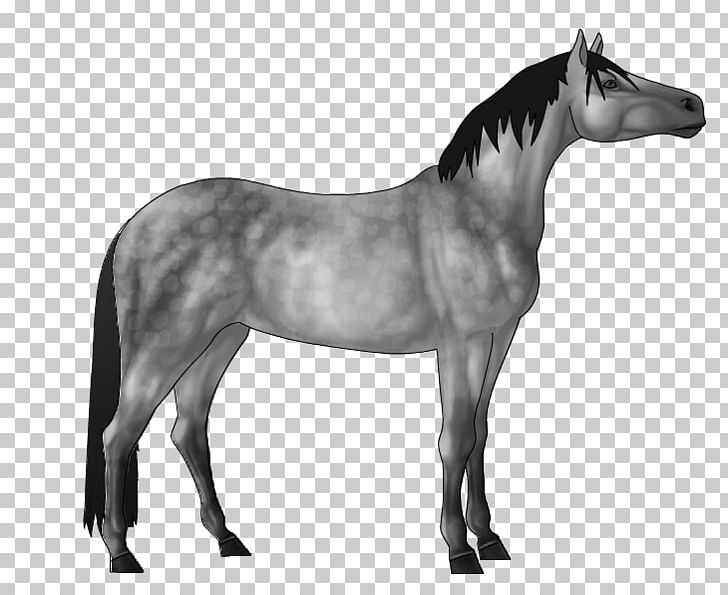 Mane Mustang Stallion Mare Pony PNG, Clipart, Bit, Black, Black And White, Bridle, Colt Free PNG Download