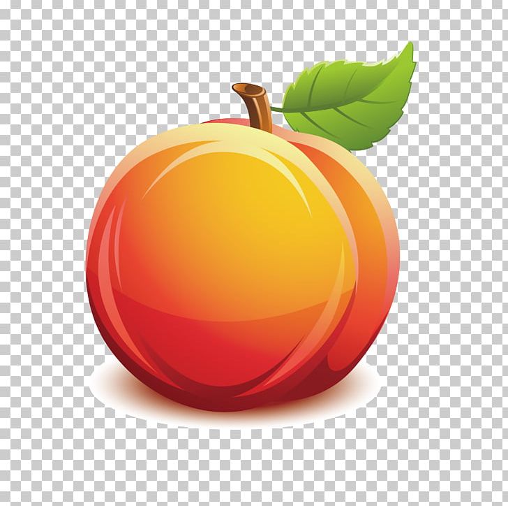 Nectarine Fruit PNG, Clipart, Apple, Auglis, Cartoon, Circle, Clip Art Free PNG Download