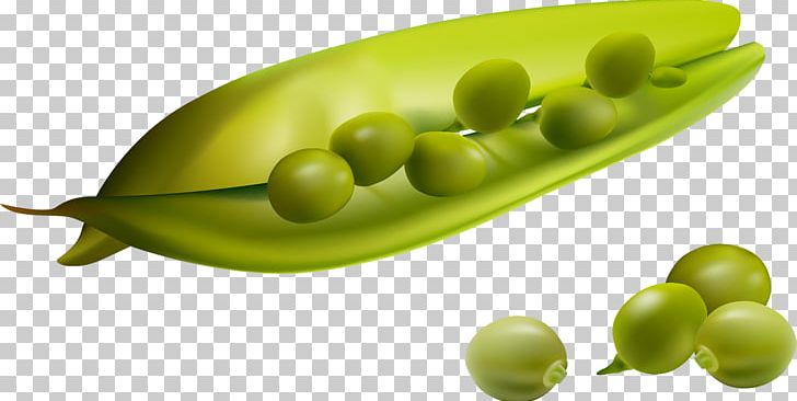 Vegetable Green Bean Snap Pea PNG, Clipart, Bean, Commodity, Common Bean, Food, Food Drinks Free PNG Download