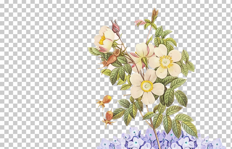 Floral Design PNG, Clipart, Bts, Btsedit, Btsjimin, Bts_v, Floral Design Free PNG Download