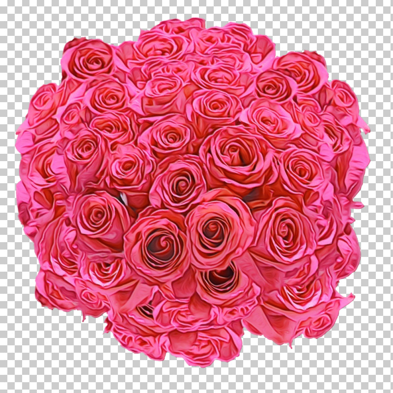 Garden Roses PNG, Clipart, Artificial Flower, Cabbage Rose, Floral Design, Floribunda, Flower Free PNG Download