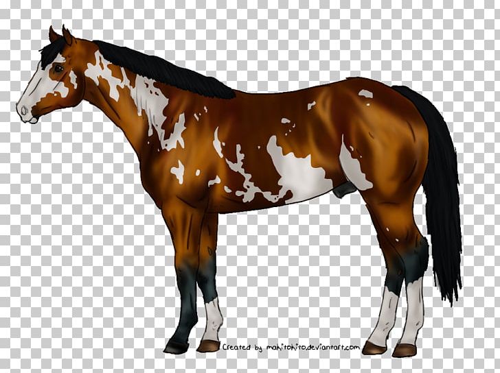 Mare Foal Stallion Colt American Saddlebred PNG, Clipart, Bridle, Colt, Filly, Horse, Horse Like Mammal Free PNG Download