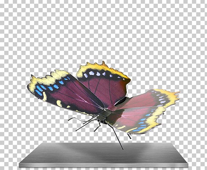 Monarch Butterfly Mourning Cloak Metal Plastic Model PNG, Clipart, Amazoncom, Brush Footed Butterfly, Butterfly, Cutting, Eastern Tiger Swallowtail Free PNG Download