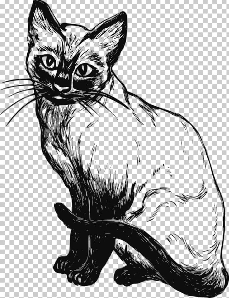 Siamese Cat Drawing Cartoon