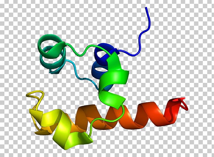 TP63 P53 P63 P73 Family Protein Gene PNG, Clipart, Angiogenin, Area, Artwork, Biochemistry, Cancer Free PNG Download