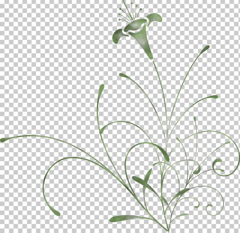 Easter Flower Spring Flower PNG, Clipart, Chamomile, Easter Flower, Flower, Leaf, Pedicel Free PNG Download