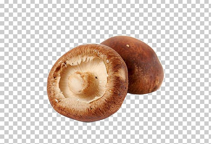 Shiitake Hot Pot Edible Mushroom Food PNG, Clipart, Agaricaceae, Berk, Beta, Drawing, Edible Mushroom Free PNG Download