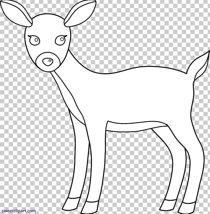 White-tailed Deer PNG, Clipart, Animal Figure, Animals, Antler, Black And White, Deer Free PNG Download