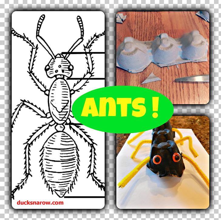 Ant Insect Bee Human Body Arthropod PNG, Clipart, Anatomy, Animals, Ant, Ant Colony, Ants Free PNG Download