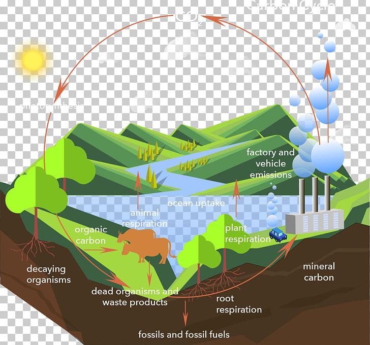 Carbon Cycle Carbon Dioxide Process PNG, Clipart, Atmosphere Of Earth, Carbon, Carbon Cycle, Carbon Dioxide, Cellular Respiration Free PNG Download