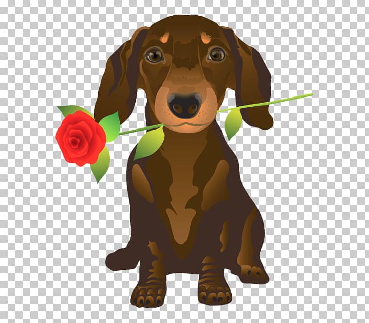 Dachshund Puppy German Shepherd Pet Sitting Valentine's Day PNG, Clipart,  Free PNG Download