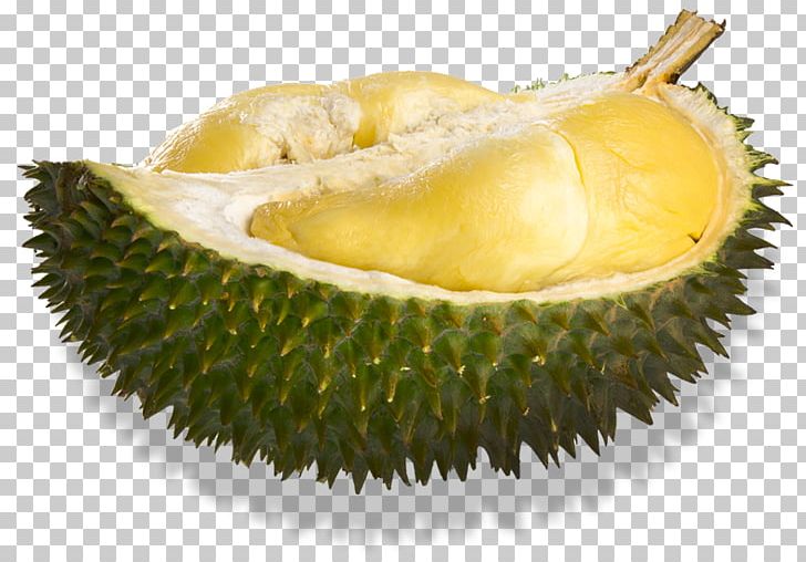 Durio Zibethinus Durian Papaya Fruit PNG, Clipart, Apple, Civet, Coconut, Durian, Durian Durian Free PNG Download